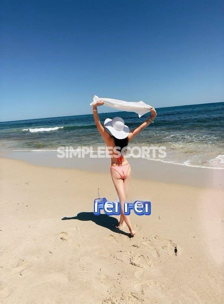 🇨🇳 Chinese Escorts in Albany: 412792101 - FEI FEI