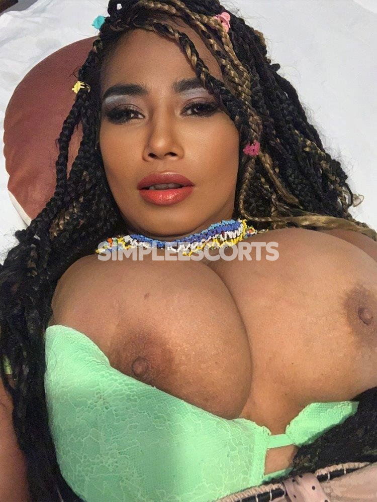 Escorts in Launceston: 483120913 - SOUTH AMERICAN, NATURALLY LARGE BREASTS, not Artificial