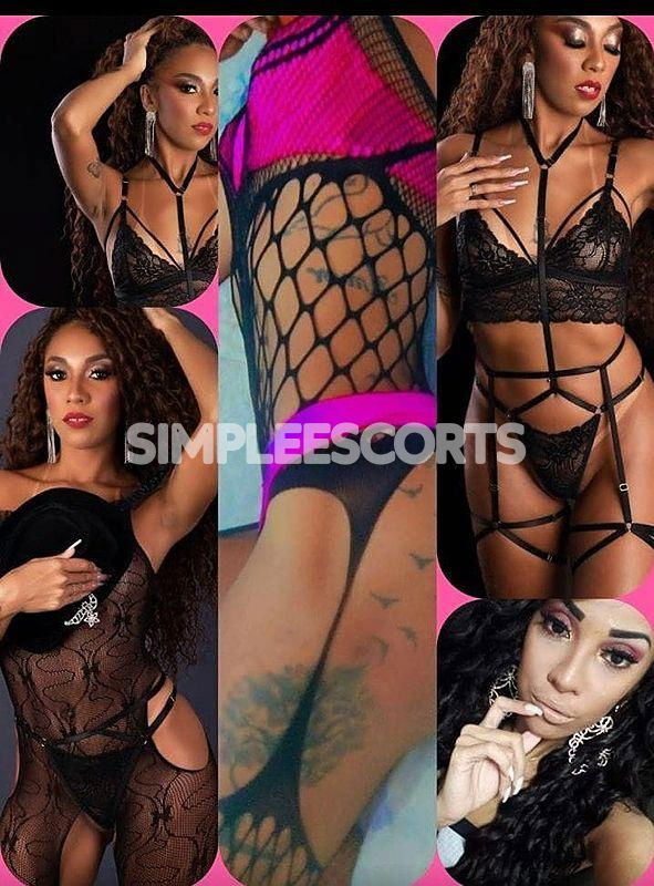 Escort 🇧🇷 Brasiliana a Borgo Vittoria: 3509419646 - 🚫🥂🍾❄️LUCIA CAVALONA 25cm TI ASPETTANO 🇧🇷♈️🇧🇷DISPONIBILISSIMA PER TUTTA LA TUA FANTASIA’❄️🍾🥂🚫