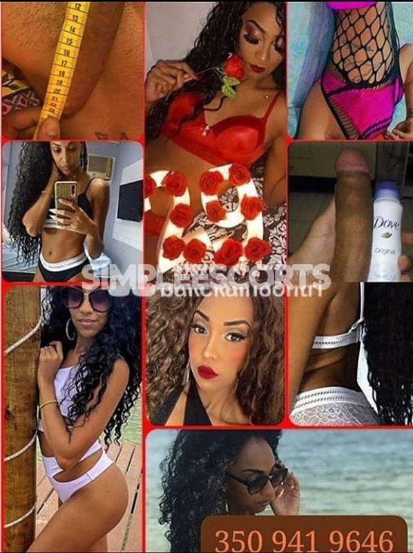Escort 🇧🇷 Brasiliana a Borgo Vittoria: 3509419646 - 🚫🥂🍾❄️LUCIA CAVALONA 25cm TI ASPETTANO 🇧🇷♈️🇧🇷DISPONIBILISSIMA PER TUTTA LA TUA FANTASIA’❄️🍾🥂🚫